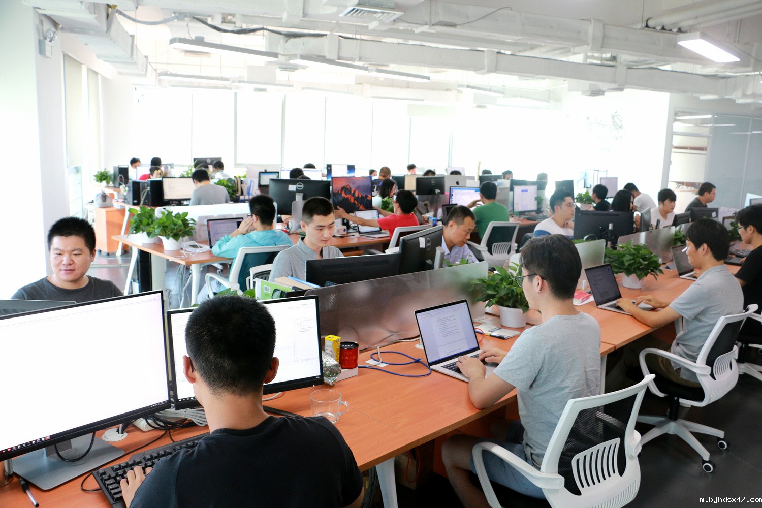 1539753801548513.jpg IMG_3369_副本.jpg