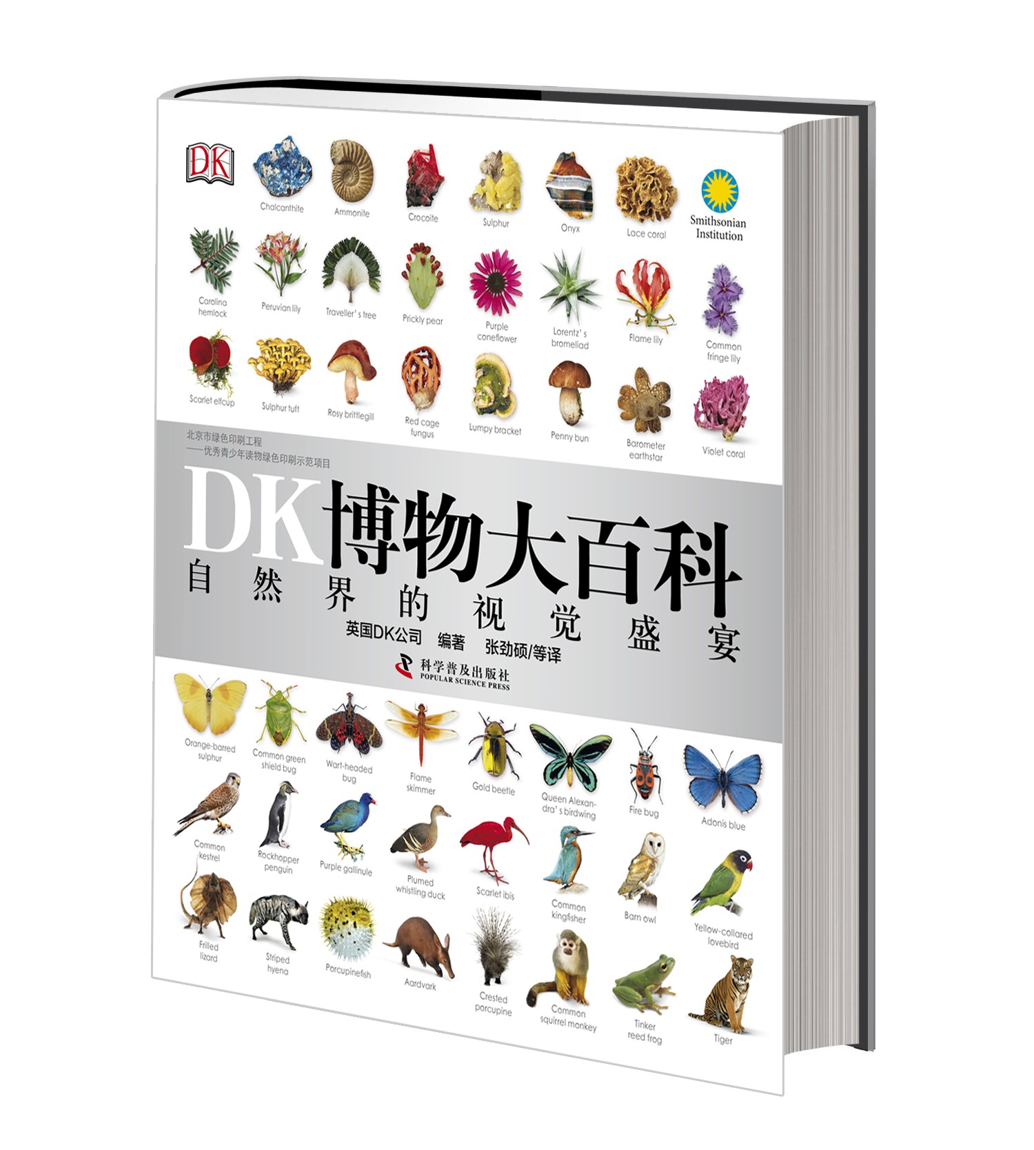 1544419826532843.jpg KCQRFM_DK博物大百科封面——立体封面.jpg