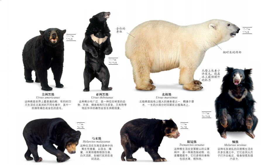 1544420233153220.png 更多2.png