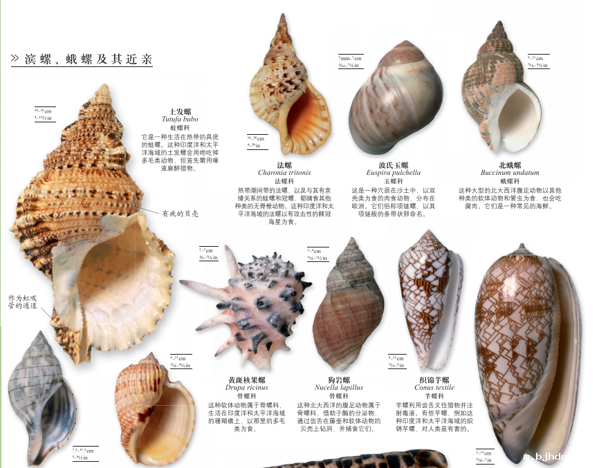 1544420292793420.png 更多7.png