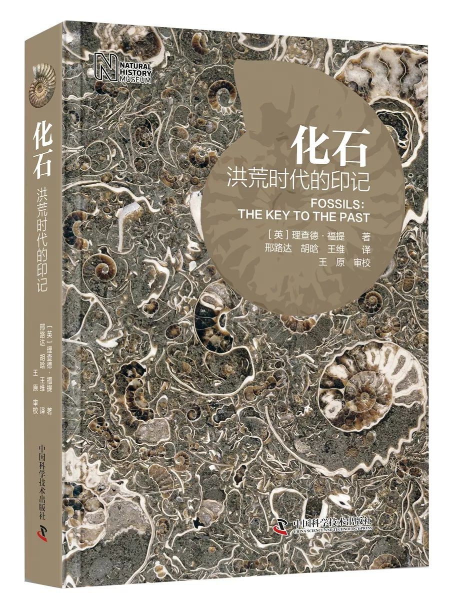 1544512344684097.jpg 2.jpg