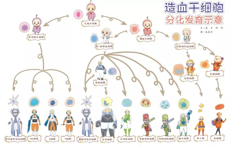 1581404939381062.jpg 640.webp (3).jpg