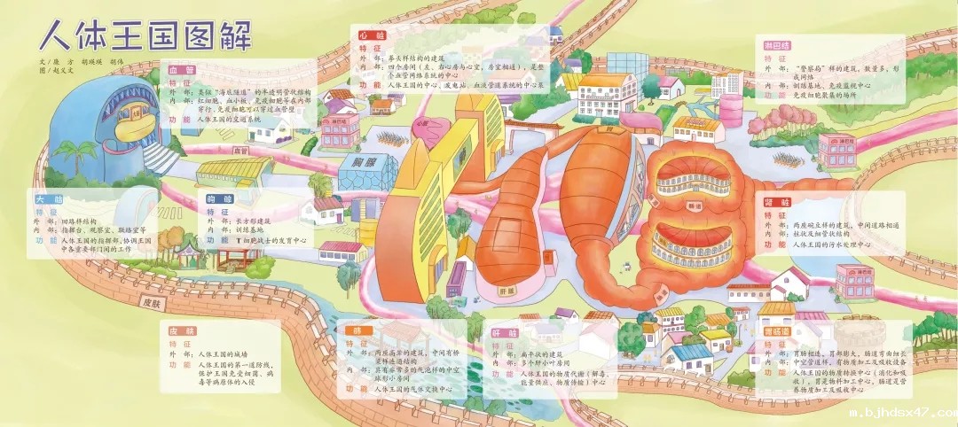 1581405214111946.jpg 640.webp (4).jpg