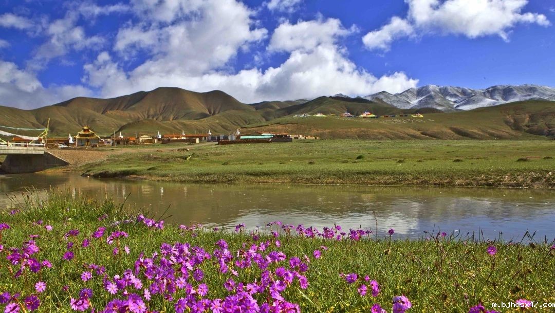 1581925159180244.jpg 0 (3).jpg