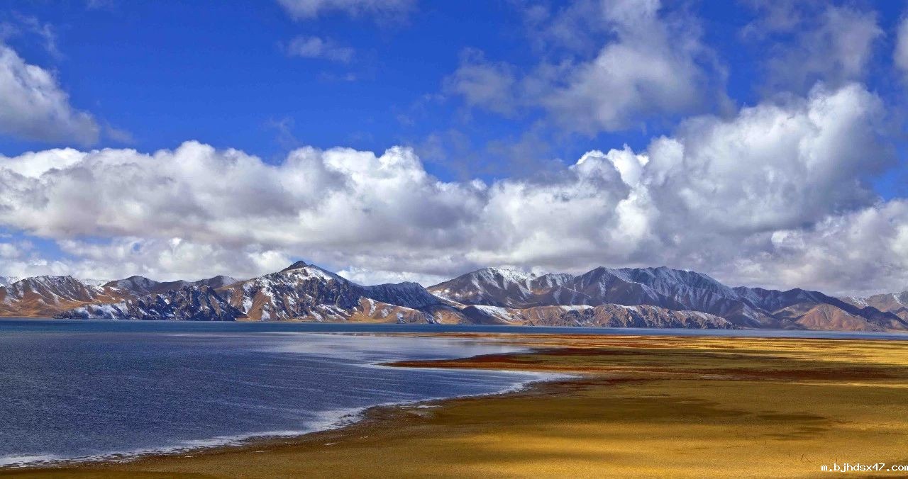 1581925188243373.jpg 0 (4).jpg