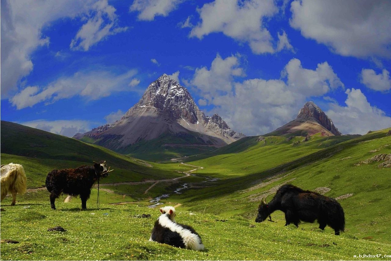 1581925213457989.jpg 0 (5).jpg