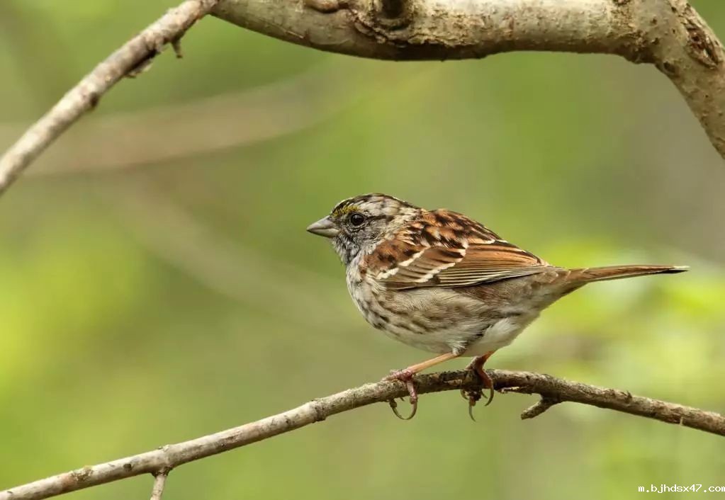 1582011349159139.jpg 0 (9).jpg