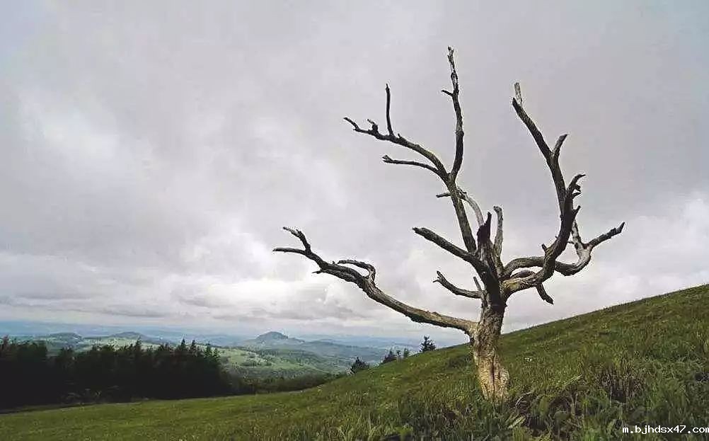 1582011394655060.jpg 0 (10).jpg