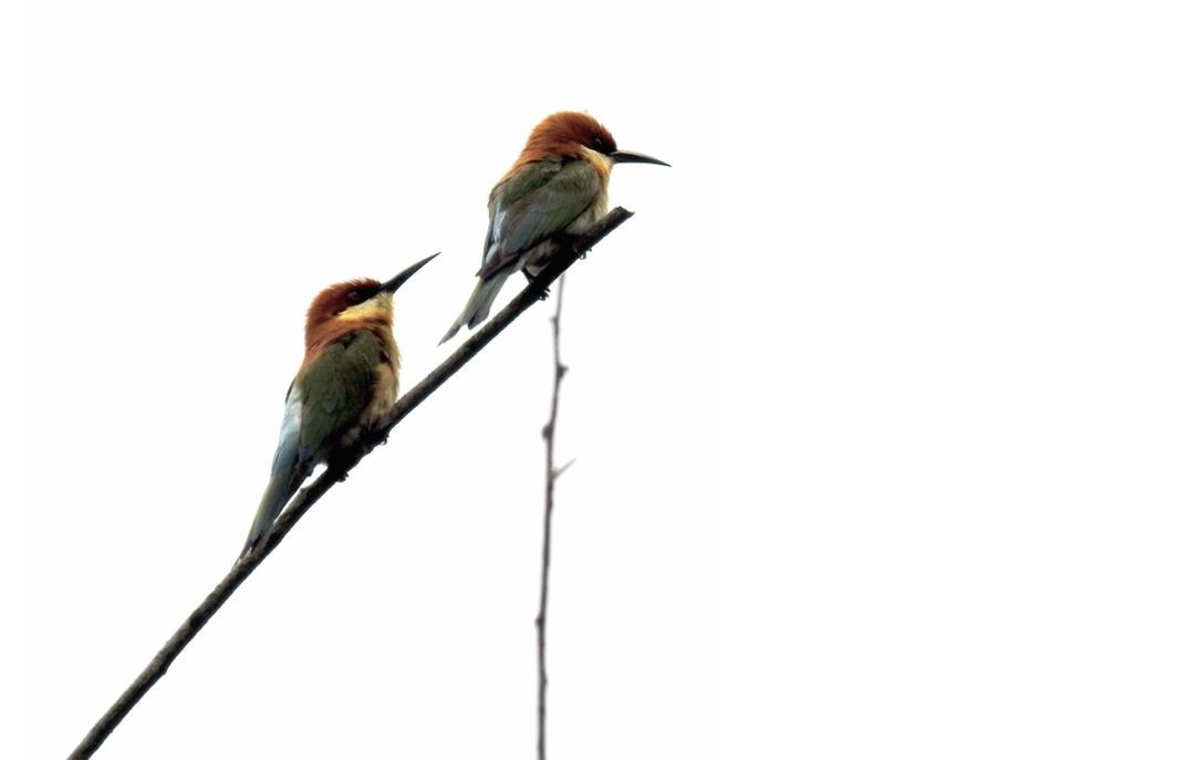 1583206611607736.jpg 微信图片_20200303113642.jpg