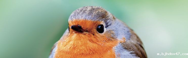 1583206678362289.jpg 微信图片_20200303113649.jpg