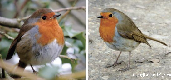 1583206739576467.jpg 微信图片_20200303113703.jpg