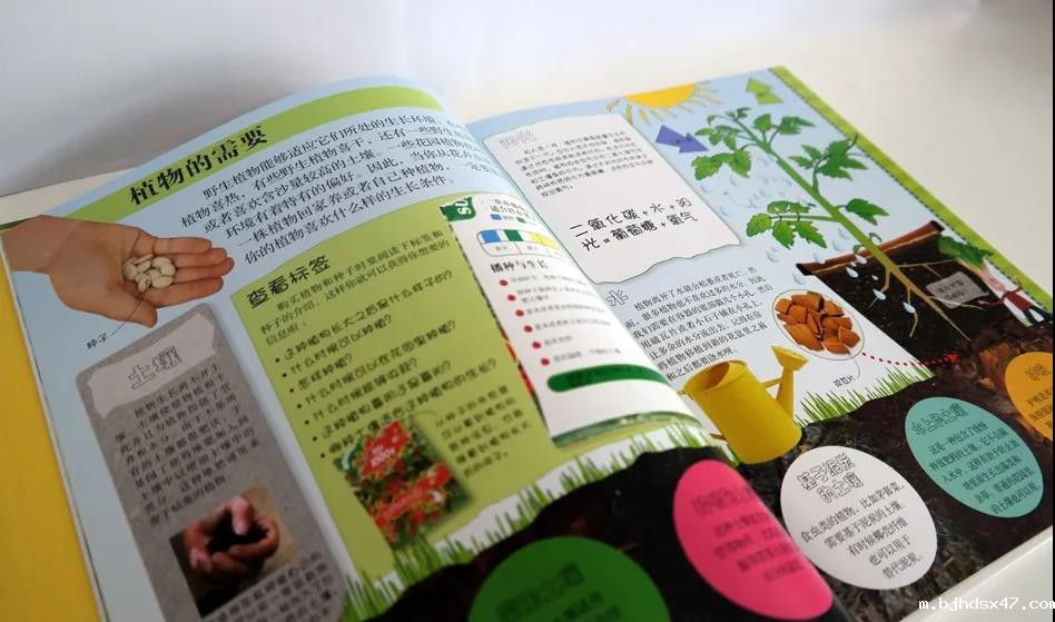 1584083822322743.jpg 微信图片_20200313151250.jpg