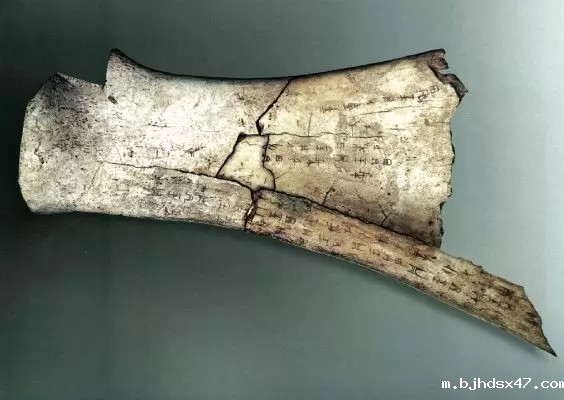 1584342843567281.jpg 640.webp (1).jpg