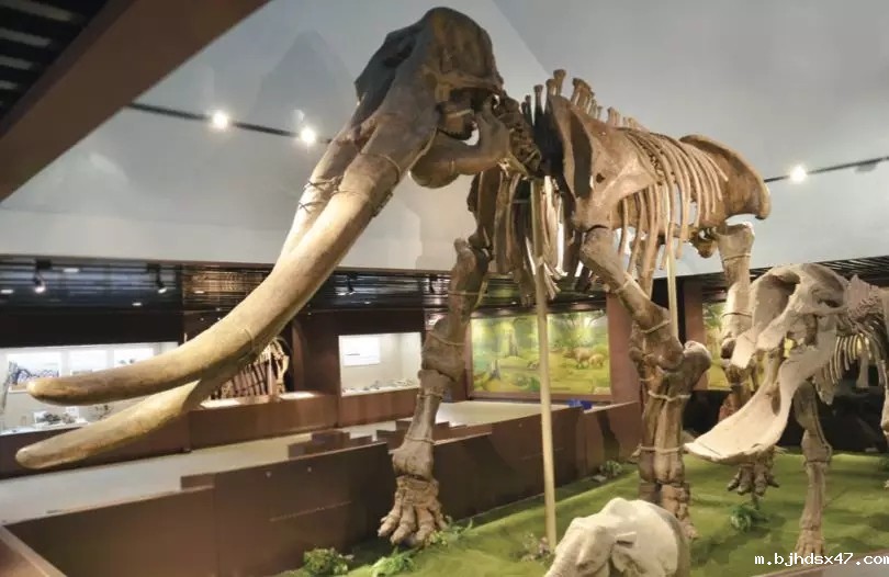 1584342872275978.jpg 640.webp (2).jpg