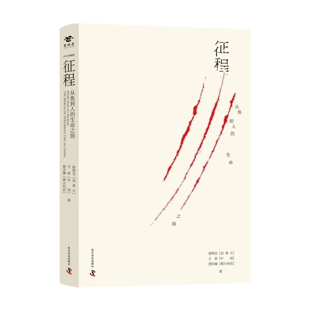 1584342912386301.jpg 640.webp (3).jpg