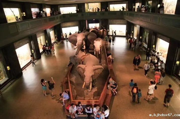 1584522796303890.jpg 640.webp (2).jpg