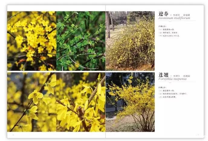 1584689234144452.jpg 微信图片_20200320152454.jpg