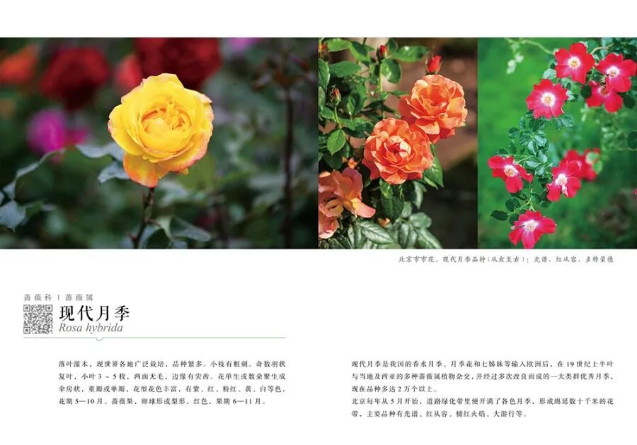 1584689254499059.jpg 微信图片_20200320152458.jpg