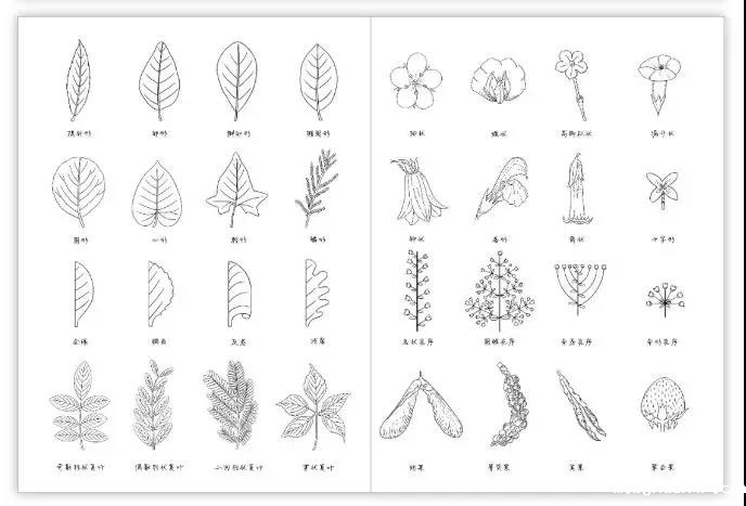 1584689810352703.jpg 微信图片_20200320152506.jpg