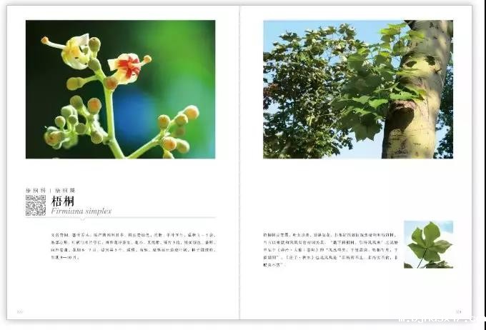 1584689866539815.jpg 微信图片_20200320152509.jpg