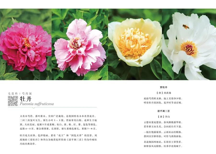 1584689884234214.jpg 微信图片_20200320152512.jpg