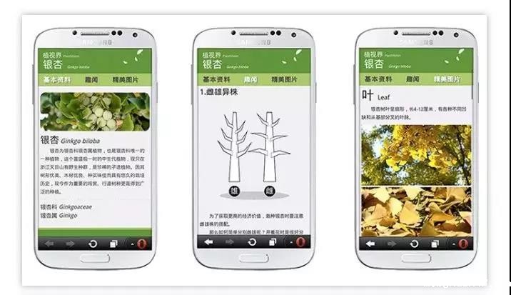 1584689905154901.jpg 微信图片_20200320152515.jpg