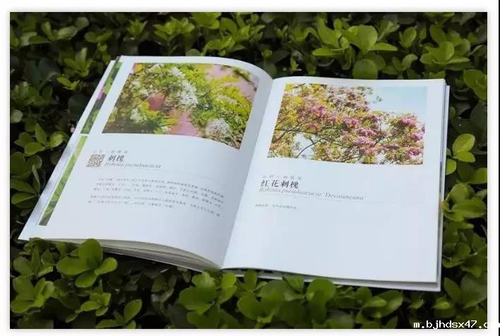 1584689932371668.jpg 微信图片_20200320152518.jpg