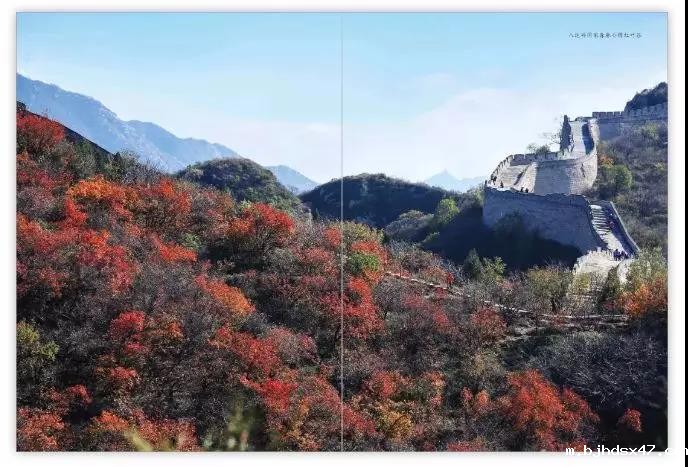 1584689956958408.jpg 微信图片_20200320152521.jpg