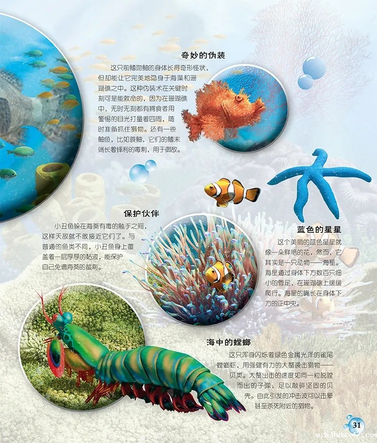 1585560674266683.jpg 640.webp (10).jpg