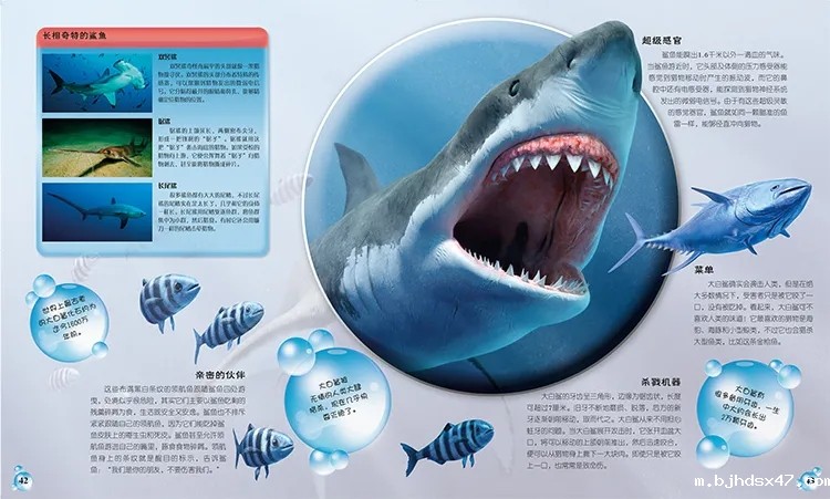 1585560701959218.jpg 640.webp (11).jpg