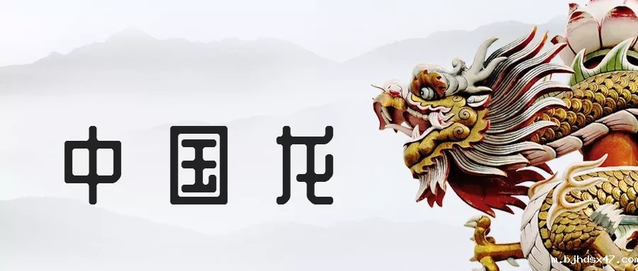 1585723504506312.jpg 640.webp (1).jpg