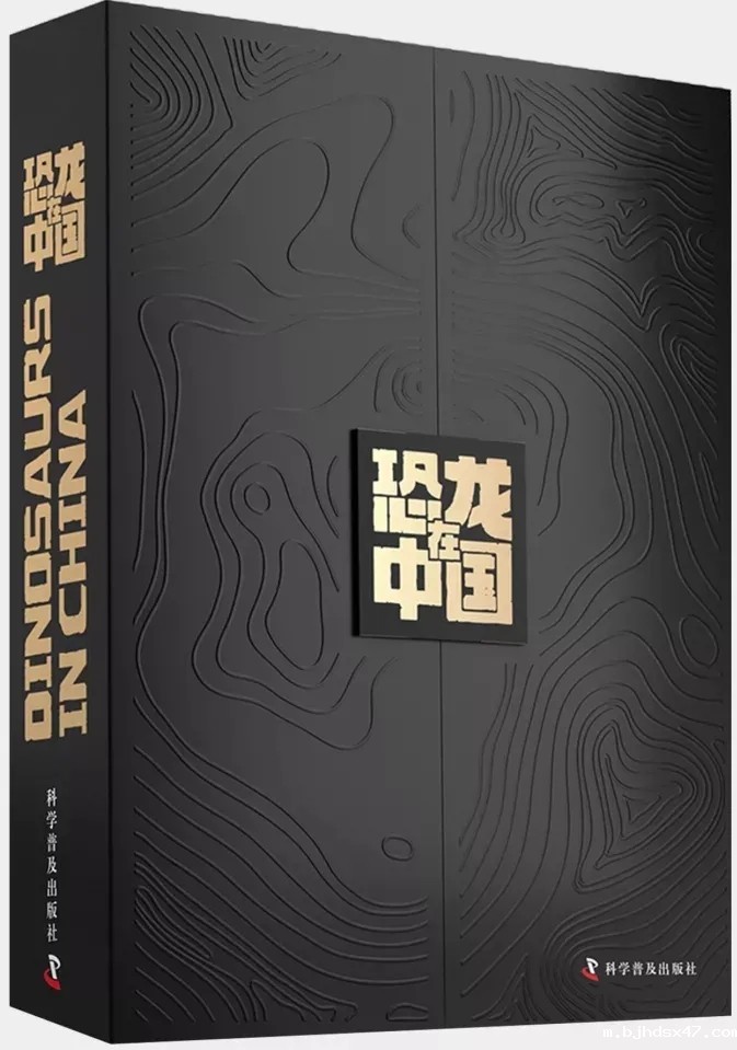 1585808699923210.jpg 640.webp (4).jpg