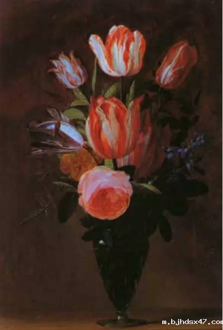 1598428431546380.jpg 640 (1).webp (1).jpg